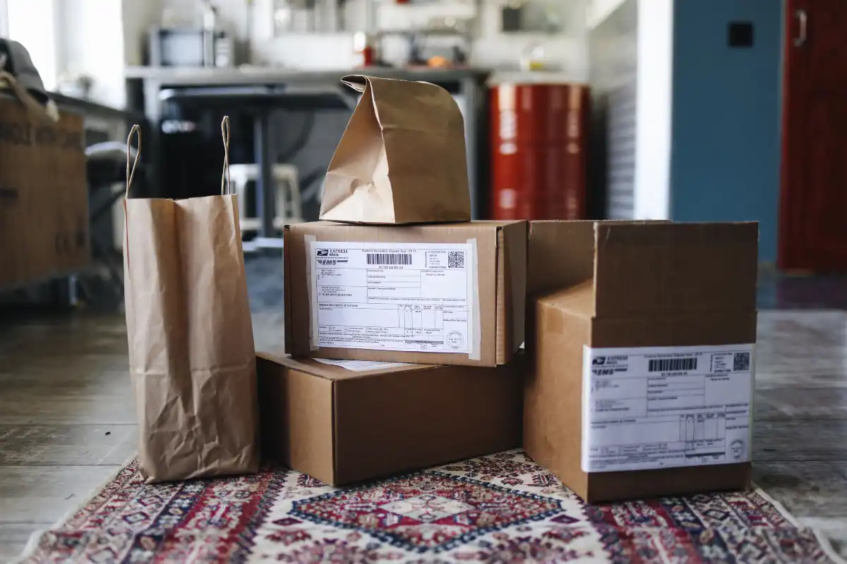 a collection of cardboard boxes and paper bags on a patterned rug in a home sett